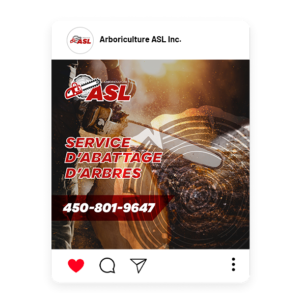 Gestion de réseaux sociaux Arboriculture ASL